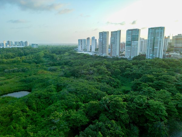 Installation de mobil home sur terrain : guide pratique et conseils